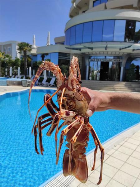Vela Hotel Restaurant Golem  Zewnętrze zdjęcie